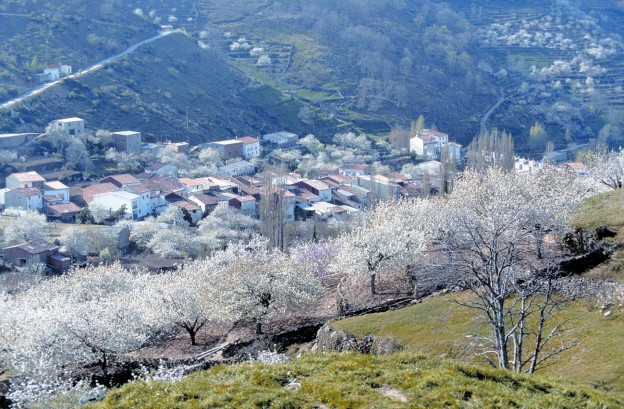 valle-del-jerte-cáceres-extremadura